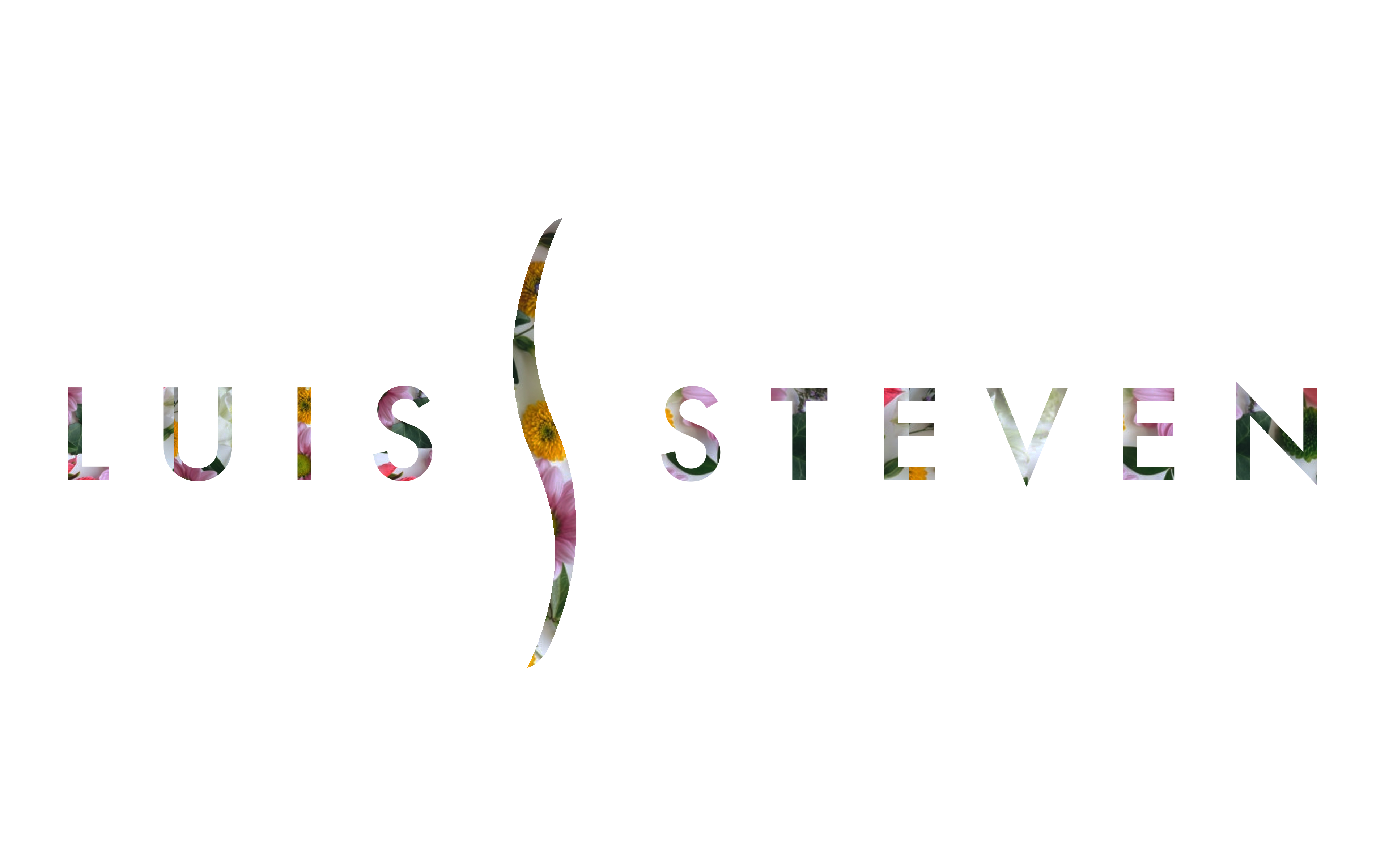 Luis Steven logo