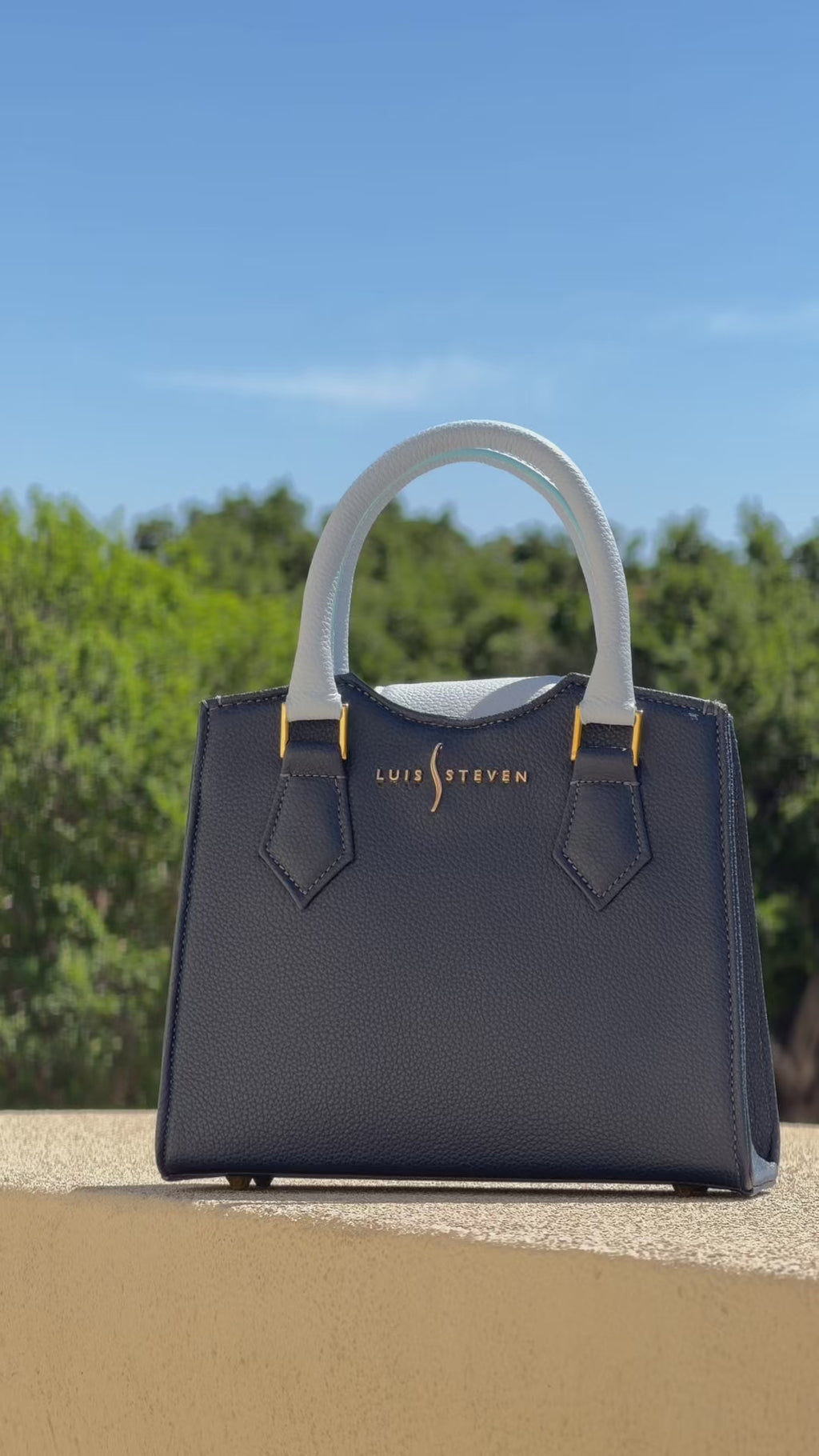 Donna's Mini Tote - Blue Combo